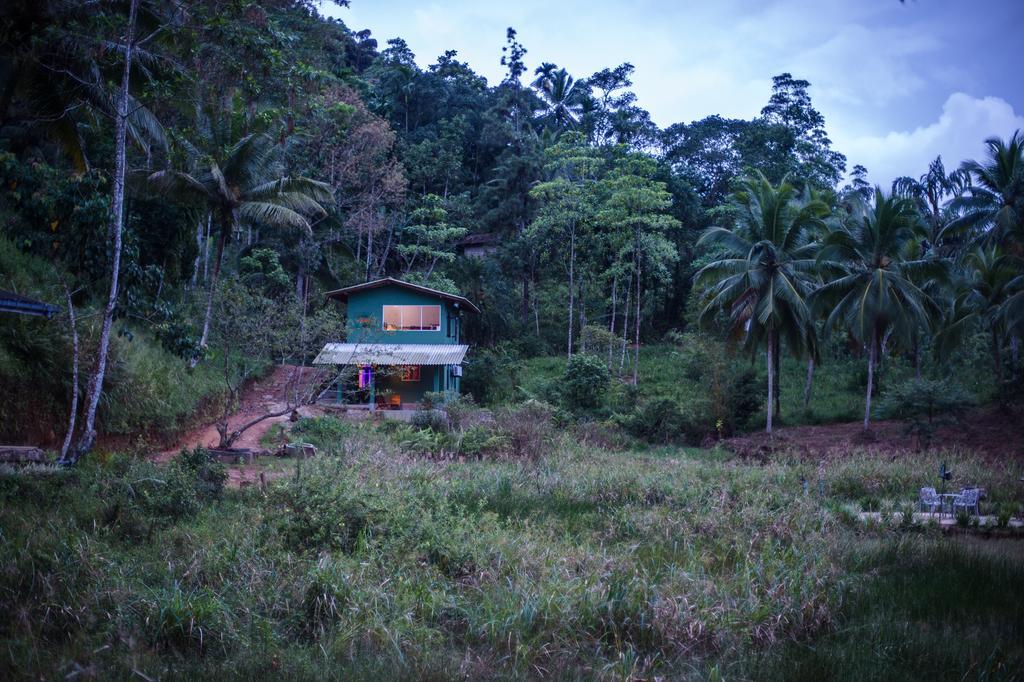 Sinharaja Hostel Deniyaya Extérieur photo